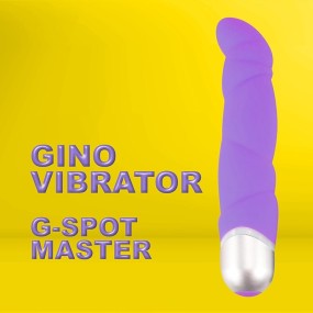 Vibratore Gino di...
