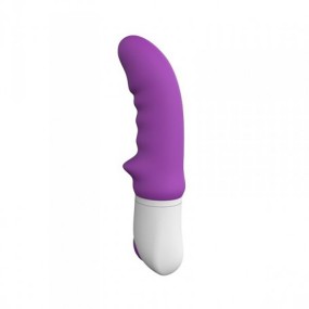 Vibratore vaginale Rhinhorn di Toyz4Lovers | mysecretshop